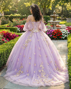 Stunning Tulle Appliques Ball Gown Princess Dress - Curvevia