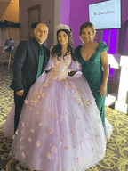 Stunning Tulle Appliques Ball Gown Princess Dress - Curvevia