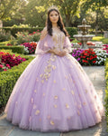 Stunning Tulle Appliques Ball Gown Princess Dress - Curvevia