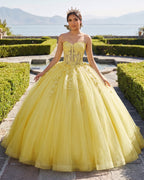 Sky Blue Ball-Gown Tulle 3D Flowers Sweetheart Quinceanera Dresses - Curvevia
