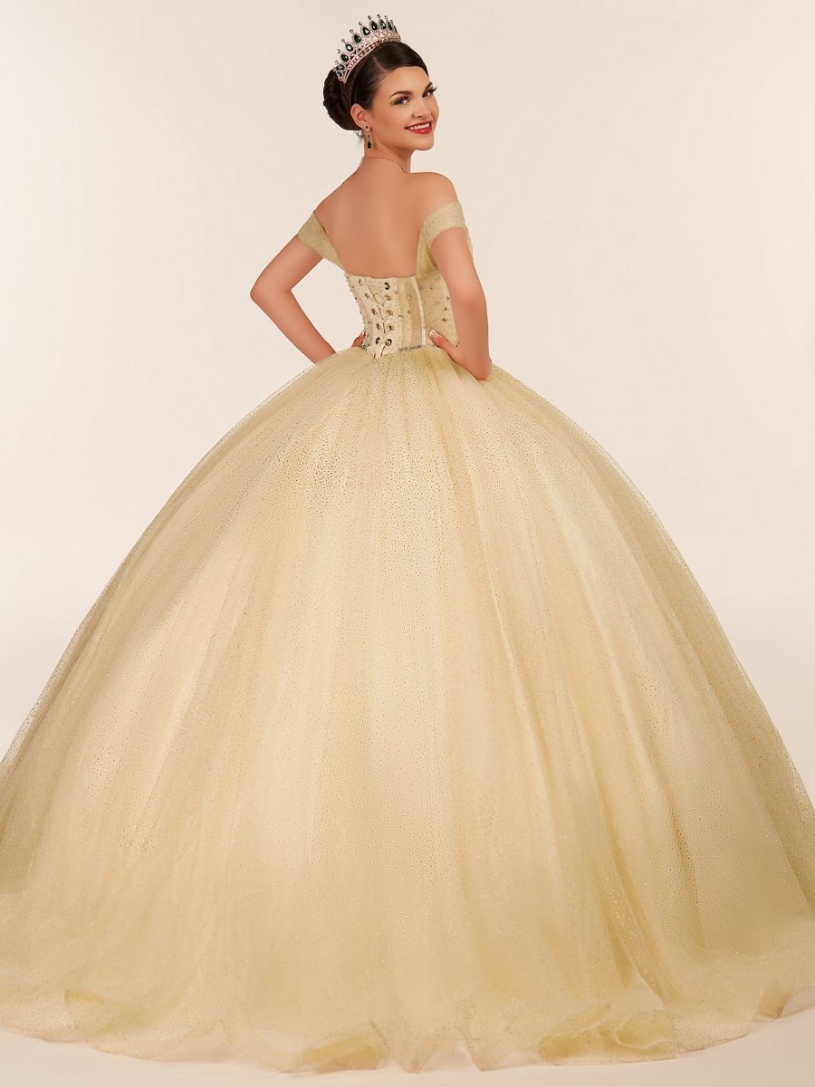 Yellow Ball Gown Tulle Off-the-Shoulder Quincenara Dresses - Curvevia