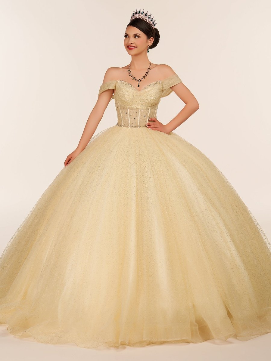 Yellow Ball Gown Tulle Off-the-Shoulder Quincenara Dresses - Curvevia