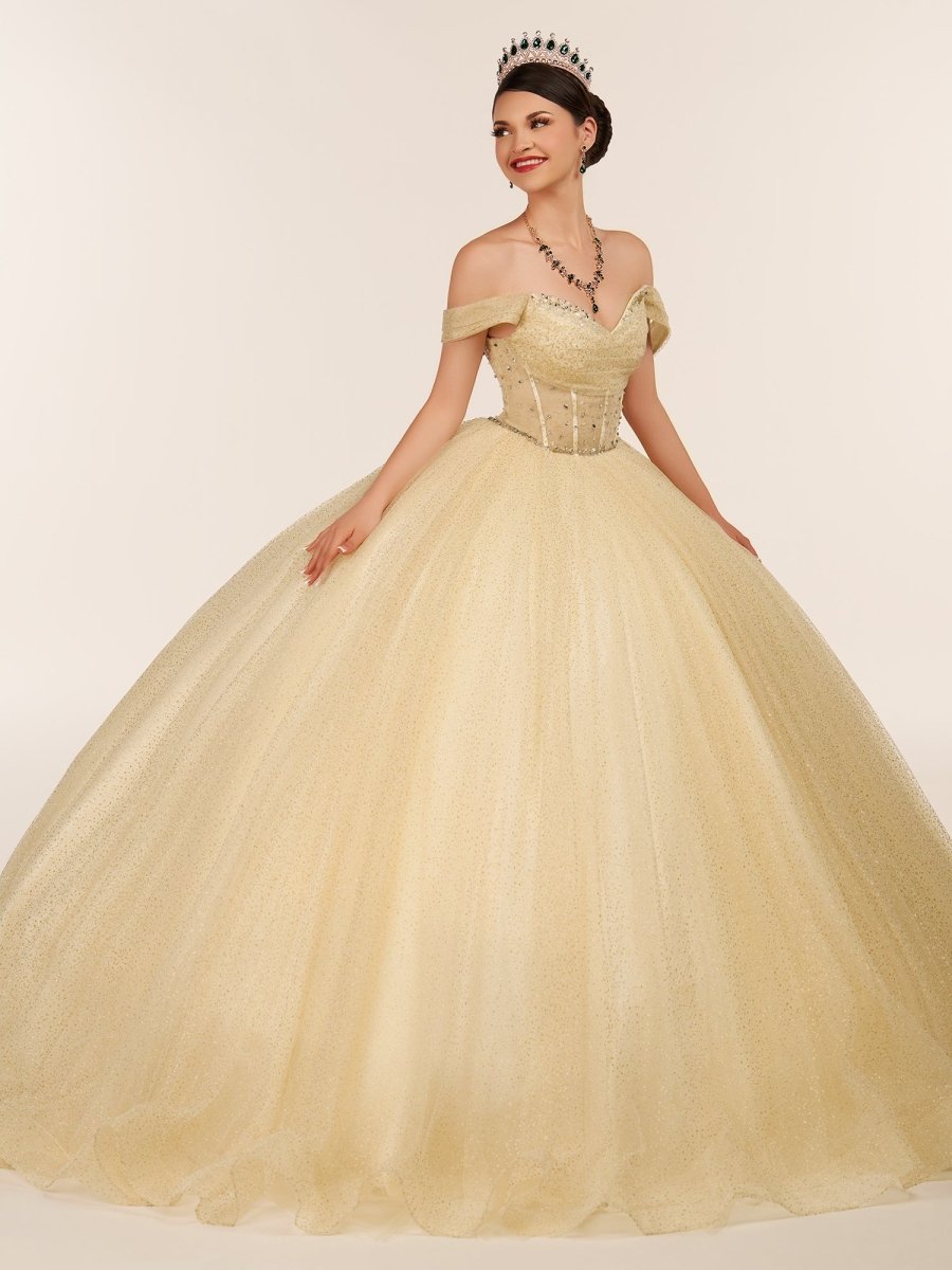 Yellow Ball Gown Tulle Off-the-Shoulder Quincenara Dresses - Curvevia
