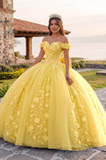 Off Shoulder 3D Floral Applique Quinceanera Dresses - Curvevia