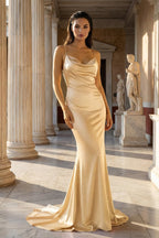Pink Spaghetti Straps Satin Mermaid Prom Dress - Curvevia