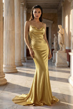 Pink Spaghetti Straps Satin Mermaid Prom Dress - Curvevia