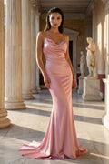 Pink Spaghetti Straps Satin Mermaid Prom Dress - Curvevia